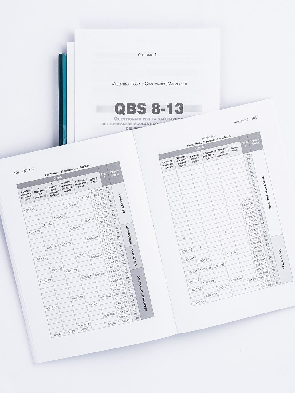 QBS 8-13 - Test - Erickson 2