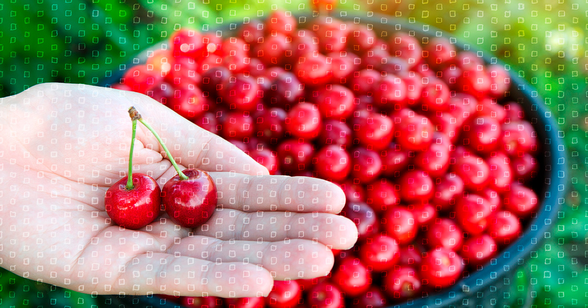 Anni In Inglese: Come Si Leggono Come si leggono i dati?